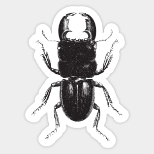 Beetle Sticker